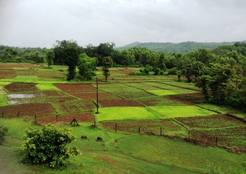मातीकाम करणारे हात - कुंभार परंपरा